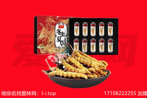 来宾回收虫草.jpg
